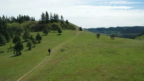 Photographer in Meadow Stock Footage 153626497