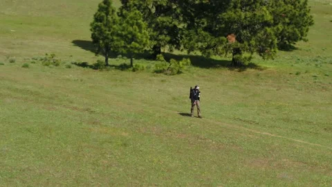 Photographer in Meadow Stock Footage 153626505
