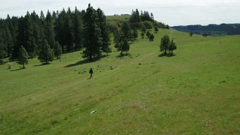 Photographer in Meadow Stock Footage 153626836