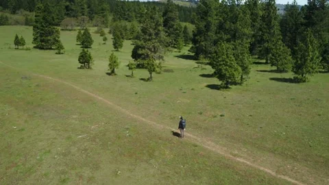 Photographer in Meadow Stock Footage 153626901