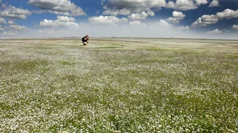 Photographer in a nature Stock Footage 24653745