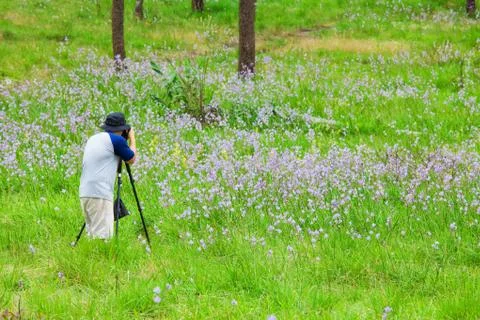 Photographer Stock Photos