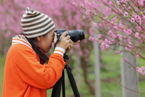 Photographer Stock Photos