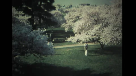 Photographer at Tidal Basin in Washington DC Stock Footage