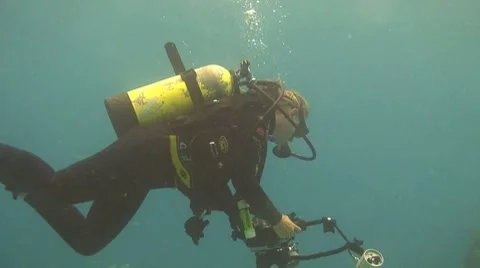 Photographer, underwater Stock Footage 8657164