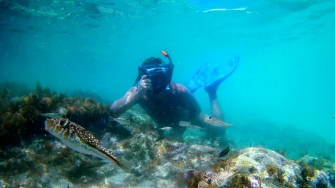 Photographer using camera in waterproof box to make photos and video underwater Stock Footage 130019763