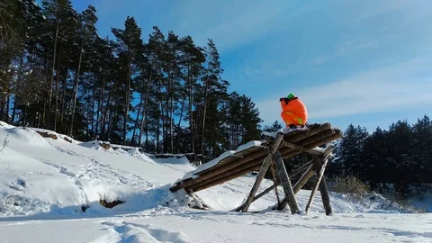 Photographer using a strange wooden construction for photographing Stock Footage 86847037