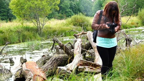 The photographer is viewing the footage on the camera Stock Footage 89952178