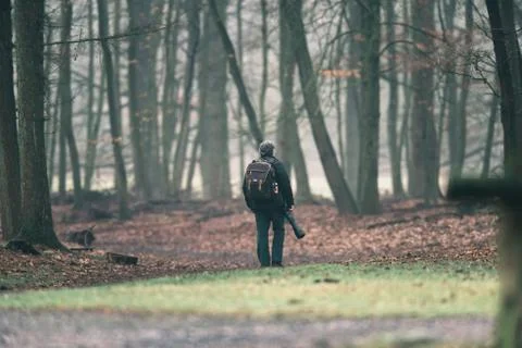 Photographer walking on path in forest. Stock Photos