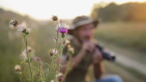 Photographer working in the outdoor Stock Footage 304992003