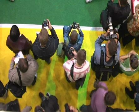 Photographers. Stock Footage 305132