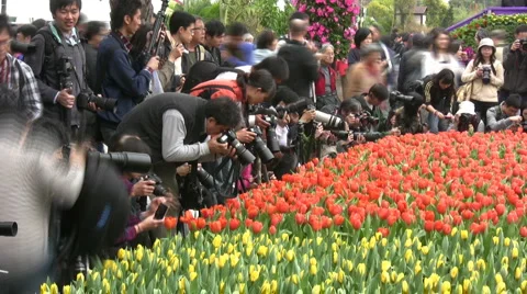 Photographers Stock Footage 2107921