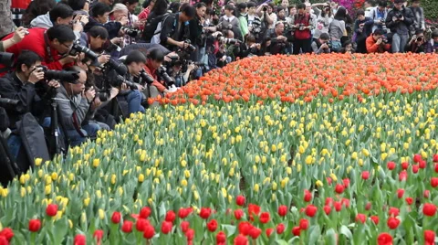 Photographers Stock Footage 2416617