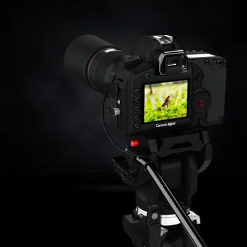Photographers. Illustrazione stock