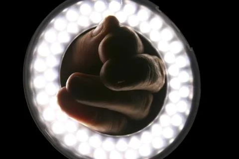 Photographic ring flash with a hand inside Stock Photos