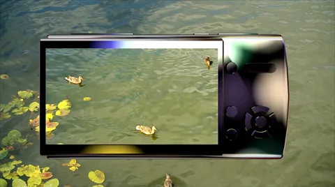 Photographing ducks on the river Stock Footage 39888583