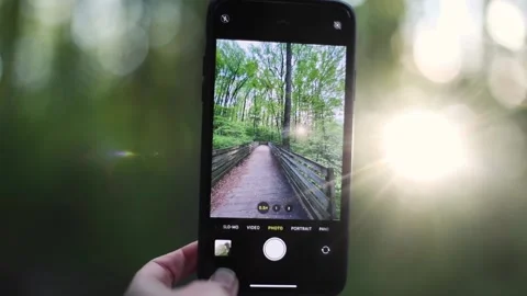 Photographing a forest with an iPhone Stock Footage 130531648
