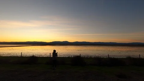 Photographing Geese at Sunset 動画素材 122108958