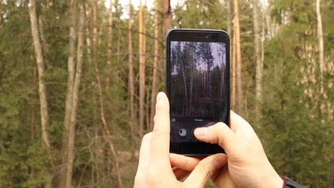 Photographing nature Stock Footage 129054164