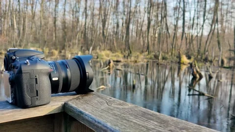 A photography camera in nature Video stock 151440656