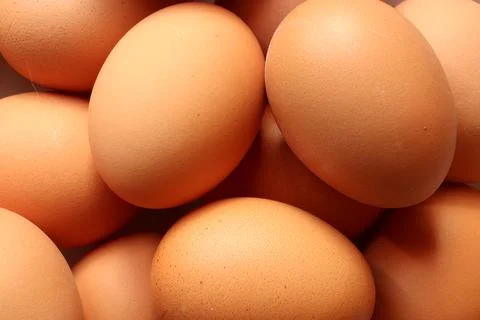 Photography of eggs pattern for food background Stock Photos