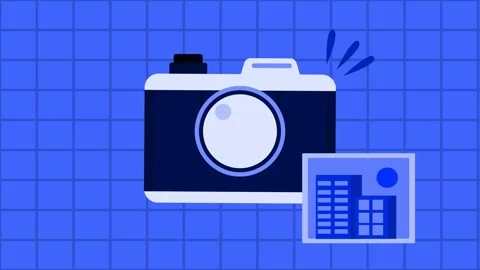 Photography Stock Footage 297622606