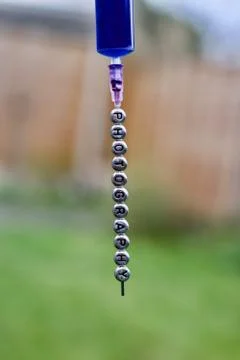 Photography on the needle Stock Photos
