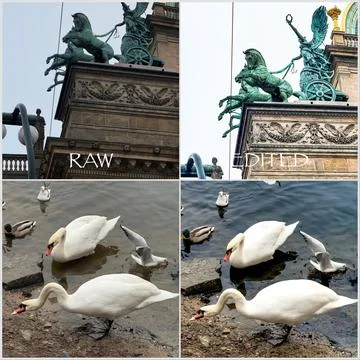 Photography Post-Processing Comparison Showing RAW and Edited Version Stock-Fotos