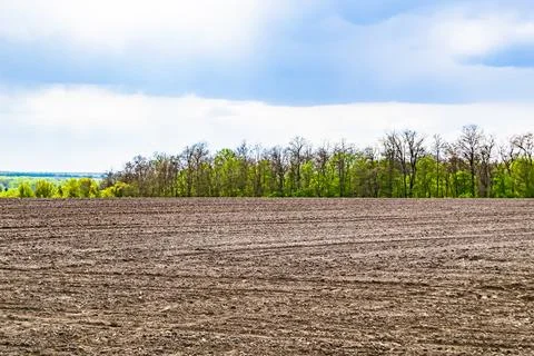 Photography on theme big empty farm field for organic harvest Stock Photos