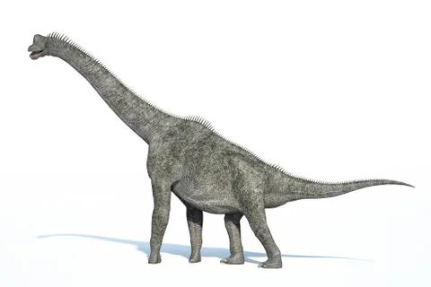Photorealistic 3 D rendering of a Brachiosaurus. Stock Illustration