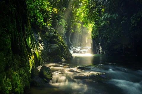 Photos of natural landscapes and tropical forests in Indonesia. view of the n Stock Photos
