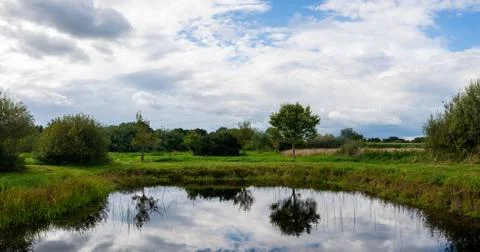 Photos of a small pond between fields in northern Germany with  a relatively  Stock Photos