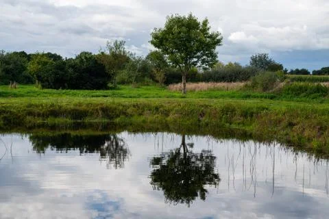 Photos of a small pond between fields in northern Germany with  a relatively  Stock Photos
