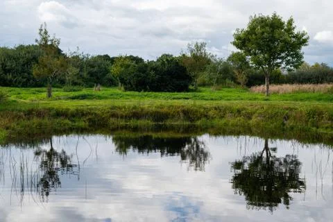 Photos of a small pond between fields in northern Germany with  a relatively  Stock Photos
