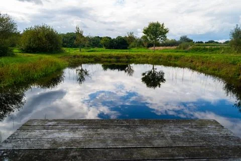 Photos of a small pond between fields in northern Germany with  a relatively  Stock Photos