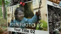PHOTOS ON TREE TRUNK Stock After Effects