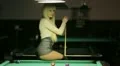 The photosession at the american pool club (backstage) HD Footage