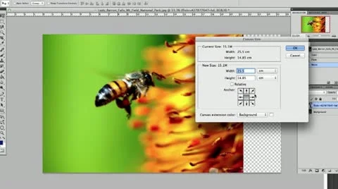 Photoshop fast time laps Stock Footage