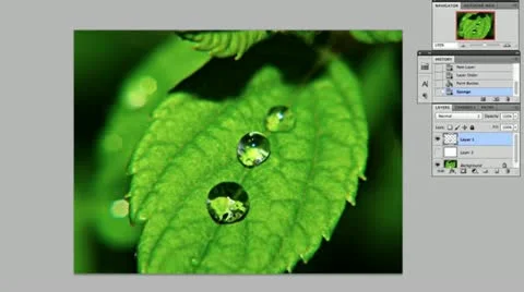 Photoshop time lapse Video stock 11189662