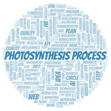 Photosynthesis Process typography word cloud create with the text only. Stock Illustration