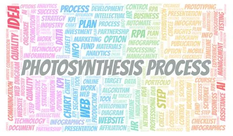 Photosynthesis Process typography word cloud create with the text only. Stock Illustration