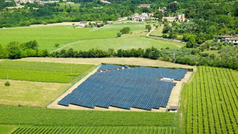 Photovoltaic fields intersecting vineyard parcels, overhead drone view Stock Footage 331263067
