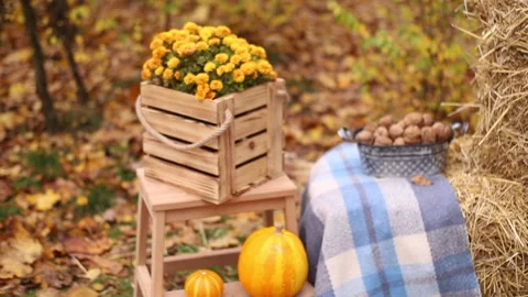 Photozone from fall decorations. plaid, hat, pumpkins, hay, flowers, walnuts Stock Footage 151014505