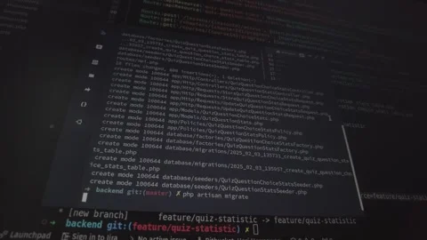 PHP Artisan Migrate Command on Production Server Stock Footage 301025691