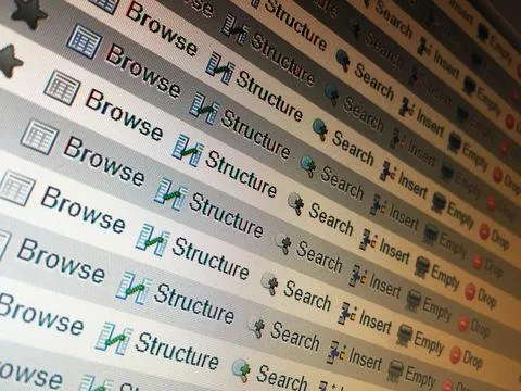 PHP SQL Database table structure preview イラスト素材