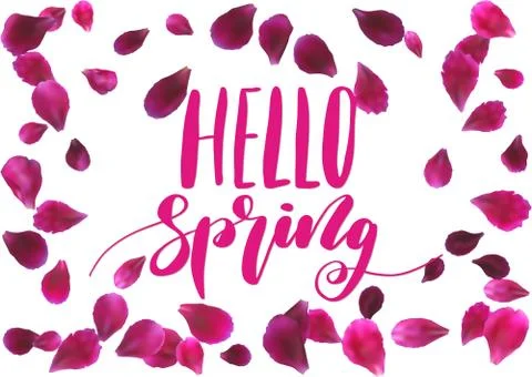 Phrase Hello spring. Brush Pen lettering Stock Illustration