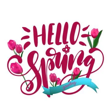 Phrase Hello Spring. Brush pen lettering. Pink tulips flowers. Stock Illustration