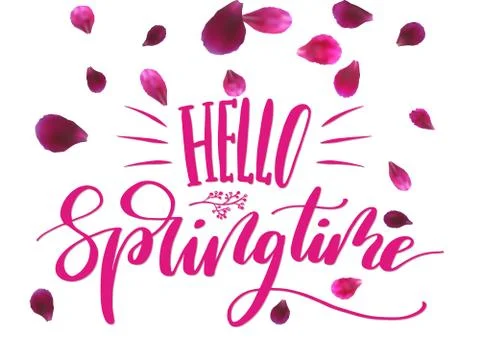 Phrase Hello springtime. Brush Pen lettering Illustrazione stock