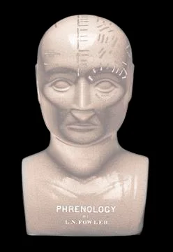 PHRENOLOGY HEAD Stock Photos