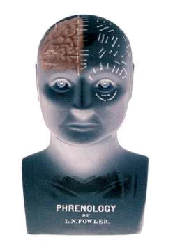 PHRENOLOGY HEAD Foto stock